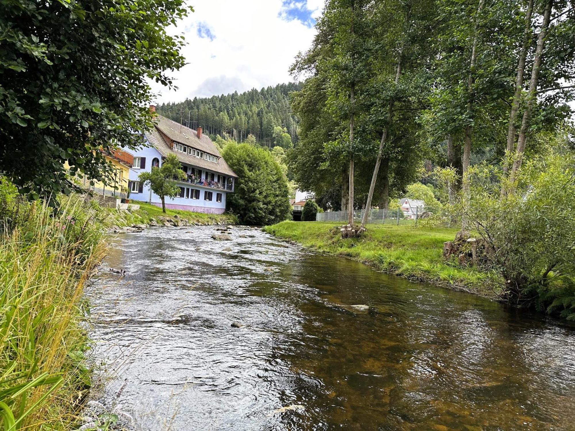 Ferienwohnung Kinzig-Chalet - Balkon - Fuer Kinder - Mit Bettwaesche & Handtuecher Schenkenzell Buitenkant foto